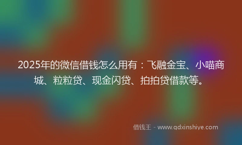 2025年的微信借钱怎么用有:飞融金宝、小喵商城、粒粒贷、现金闪贷、拍拍贷借款等。