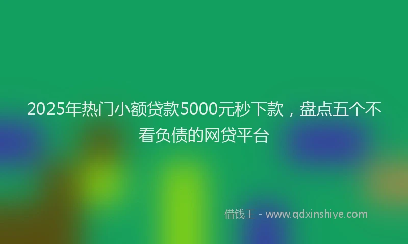 2025年热门小额贷款5000元秒下款，盘点五个不看负债的网贷平台
