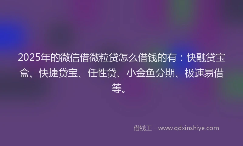 2025年的微信借微粒贷怎么借钱的有：快融贷宝盒、快捷贷宝、任性贷、小金鱼分期、极速易借等。