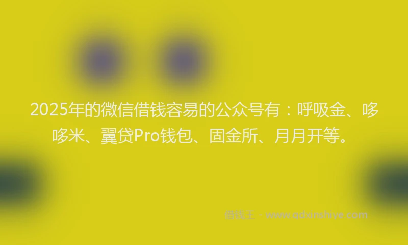 2025年的微信借钱容易的公众号有：呼吸金、哆哆米、翼贷Pro钱包、固金所、月月开等。
