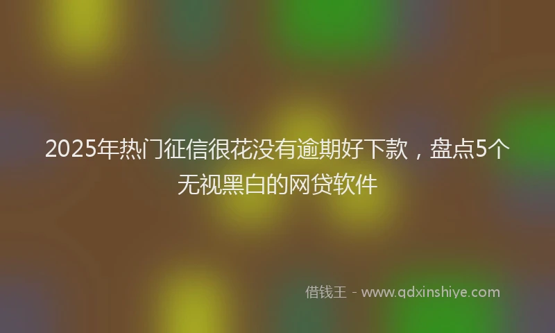 2025年热门征信很花没有逾期好下款，盘点5个无视黑白的网贷软件