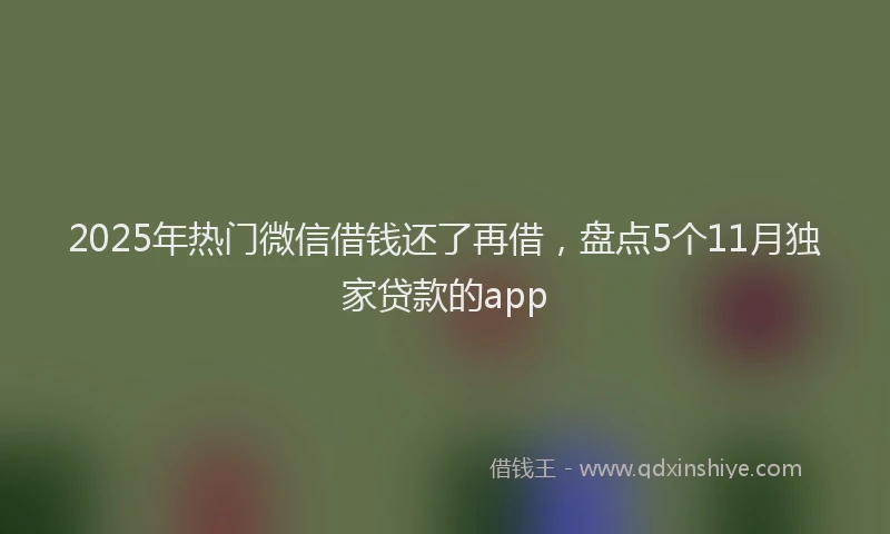 2025年热门微信借钱还了再借，盘点5个11月独家贷款的app