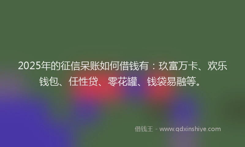 2025年的征信呆账如何借钱有：玖富万卡、欢乐钱包、任性贷、零花罐、钱袋易融等。