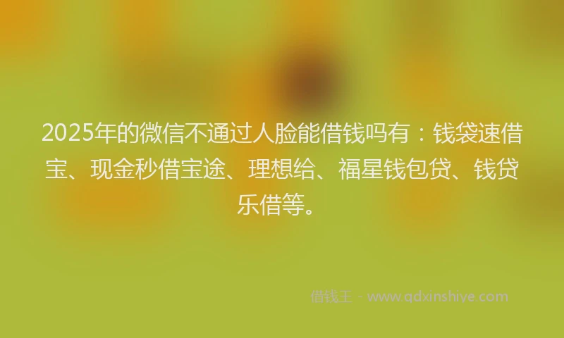 2025年的微信不通过人脸能借钱吗有:钱袋速借宝、现金秒借宝途、理想给、福星钱包贷、钱贷乐借等。