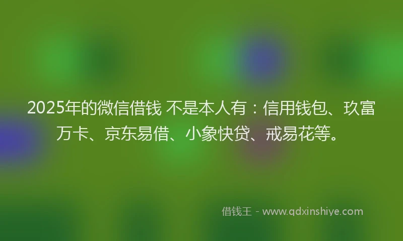2025年的微信借钱 不是本人有：信用钱包、玖富万卡、京东易借、小象快贷、戒易花等。