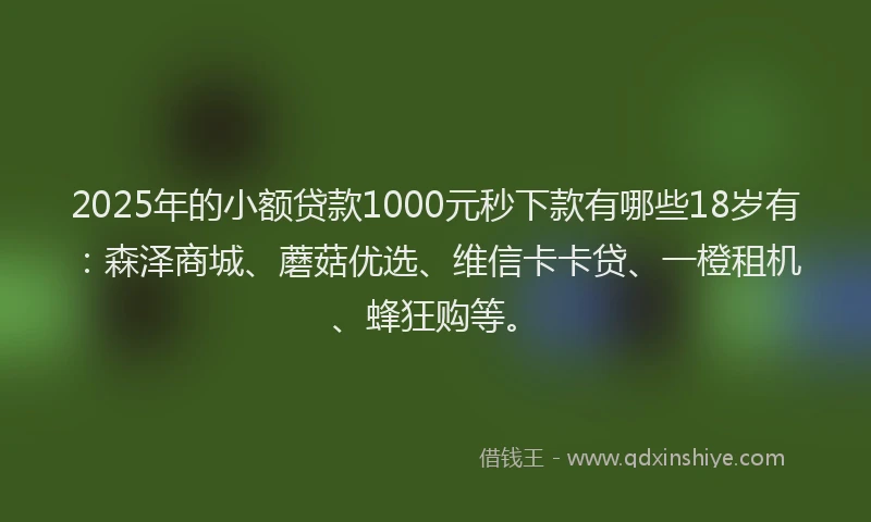 2025年的小额贷款1000元秒下款有哪些18岁有：森泽商城、蘑菇优选、维信卡卡贷、一橙租机、蜂狂购等。