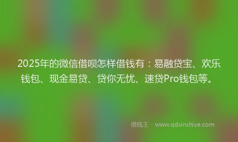2025年的微信借呗怎样借钱有：易融贷宝、欢乐钱包、现金易贷、贷你无忧、速贷Pro钱包等。