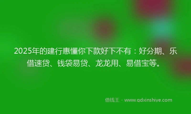 2025年的建行惠懂你下款好下不有：好分期、乐借速贷、钱袋易贷、龙龙用、易借宝等。