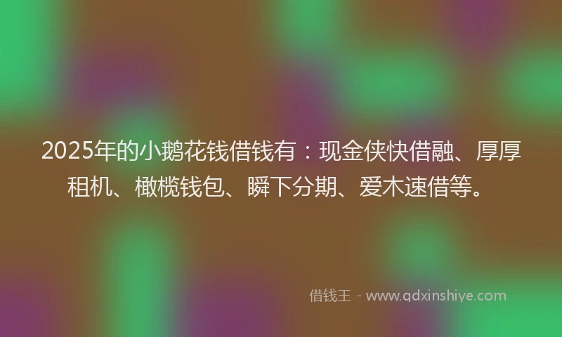 2025年的小鹅花钱借钱有：现金侠快借融、厚厚租机、橄榄钱包、瞬下分期、爱木速借等。