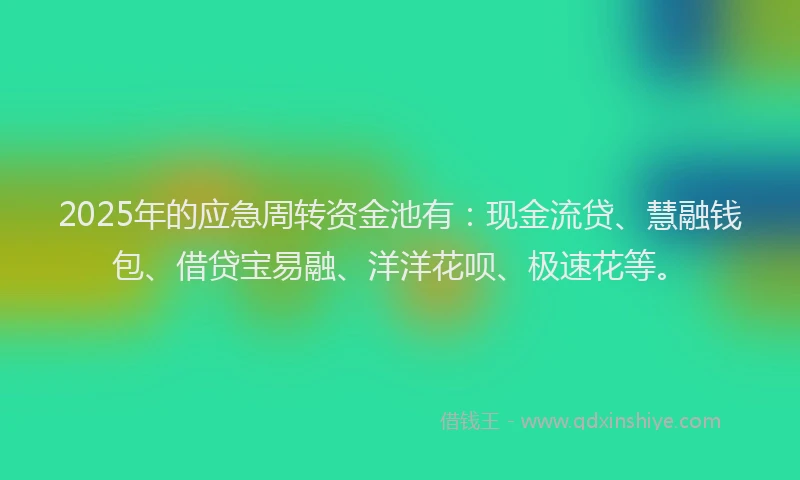 2025年的应急周转资金池有：现金流贷、慧融钱包、借贷宝易融、洋洋花呗、极速花等。