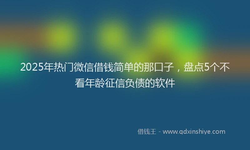 2025年热门微信借钱简单的那口子，盘点5个不看年龄征信负债的软件