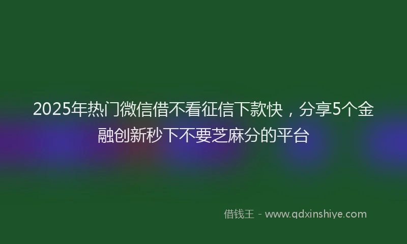 2025年热门微信借不看征信下款快，分享5个金融创新秒下不要芝麻分的平台