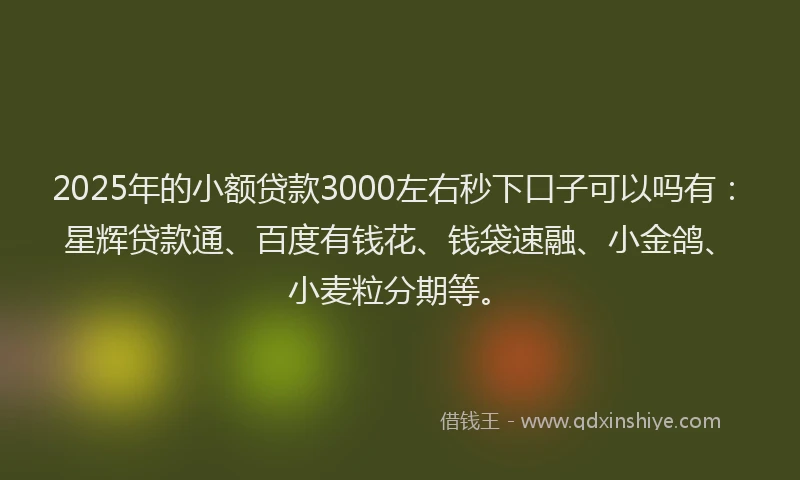 2025年的小额贷款3000左右秒下口子可以吗有：星辉贷款通、百度有钱花、钱袋速融、小金鸽、小麦粒分期等。