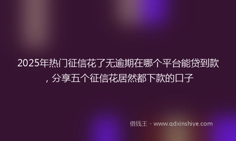 2025年热门征信花了无逾期在哪个平台能贷到款，分享五个征信花居然都下款的口子