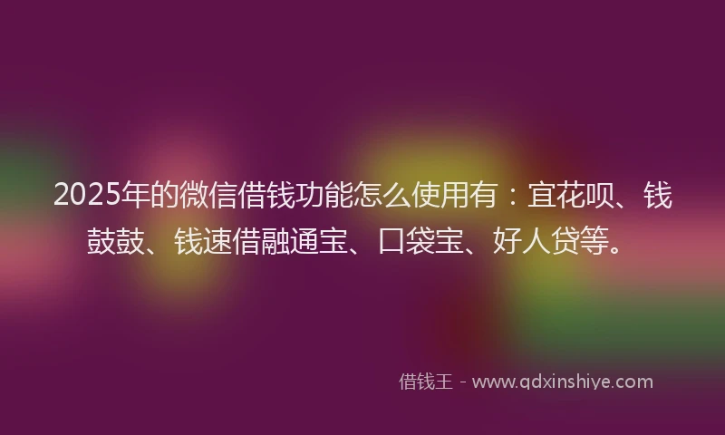 2025年的微信借钱功能怎么使用有：宜花呗、钱鼓鼓、钱速借融通宝、口袋宝、好人贷等。