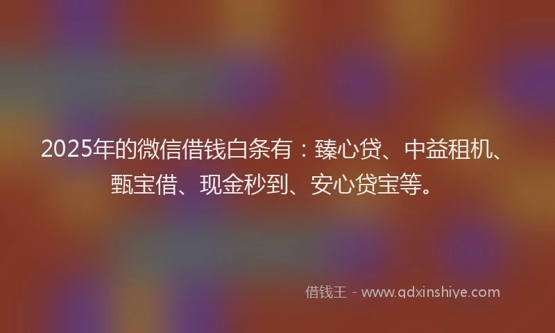 2025年的微信借钱白条有：臻心贷、中益租机、甄宝借、现金秒到、安心贷宝等。
