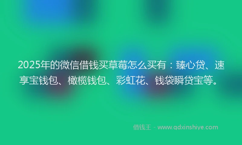 2025年的微信借钱买草莓怎么买有：臻心贷、速享宝钱包、橄榄钱包、彩虹花、钱袋瞬贷宝等。