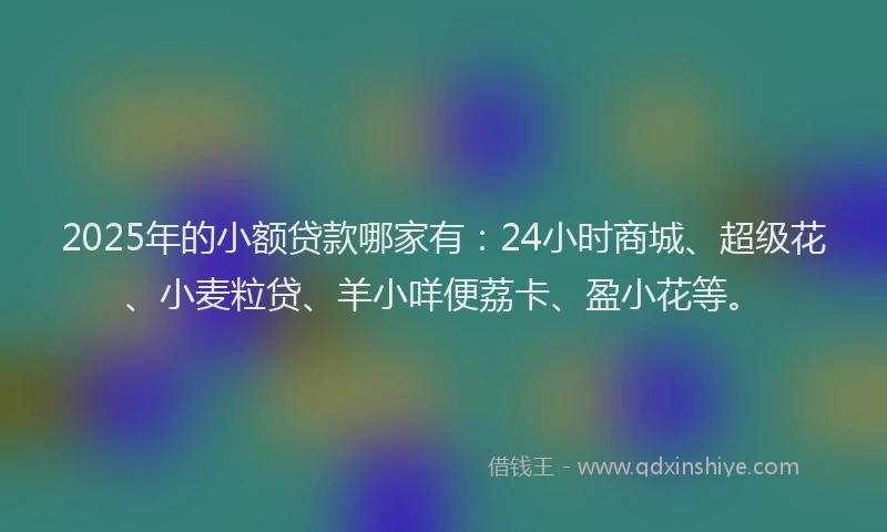 2025年的小额贷款哪家有：24小时商城、超级花、小麦粒贷、羊小咩便荔卡、盈小花等。