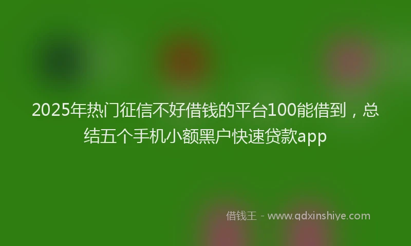 2025年热门征信不好借钱的平台100能借到，总结五个手机小额黑户快速贷款app