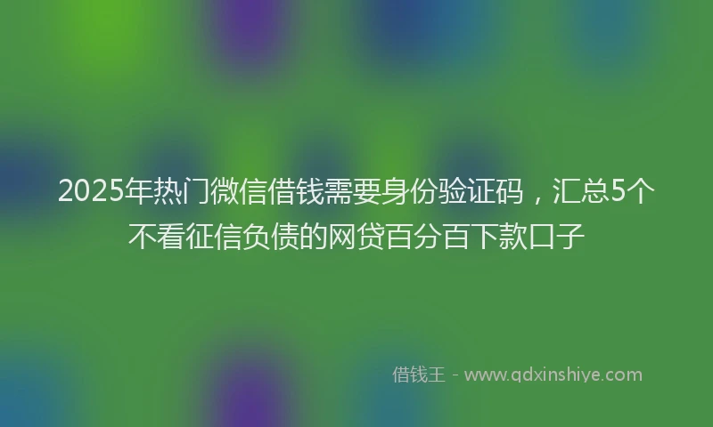 2025年热门微信借钱需要身份验证码，汇总5个不看征信负债的网贷百分百下款口子