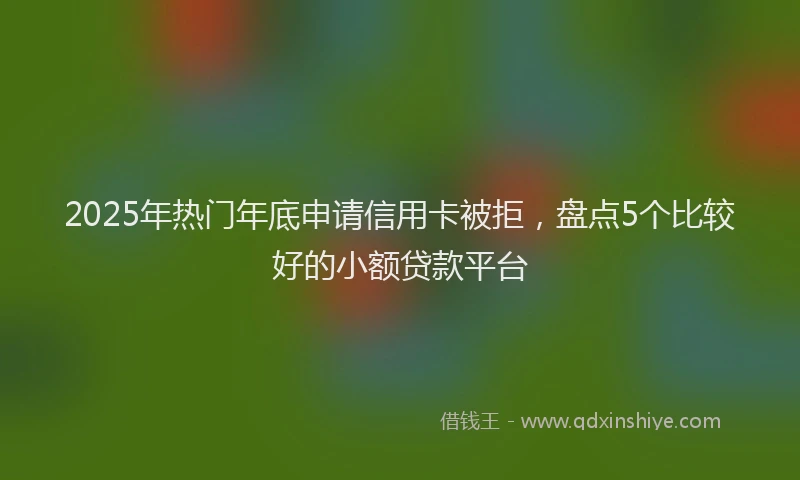 2025年热门年底申请信用卡被拒，盘点5个比较好的小额贷款平台