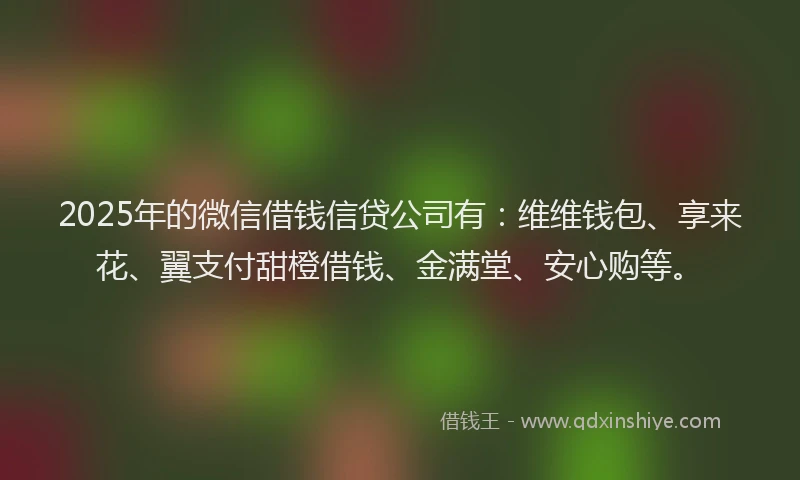 2025年的微信借钱信贷公司有：维维钱包、享来花、翼支付甜橙借钱、金满堂、安心购等。