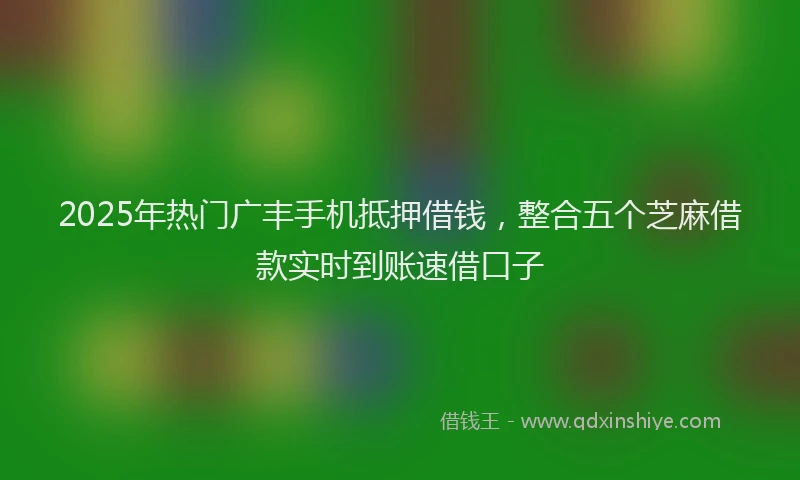 2025年热门广丰手机抵押借钱，整合五个芝麻借款实时到账速借口子