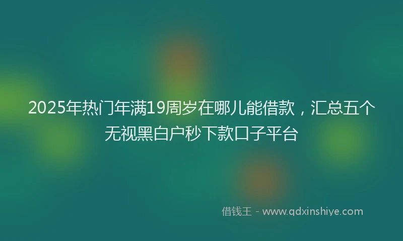 2025年热门年满19周岁在哪儿能借款，汇总五个无视黑白户秒下款口子平台