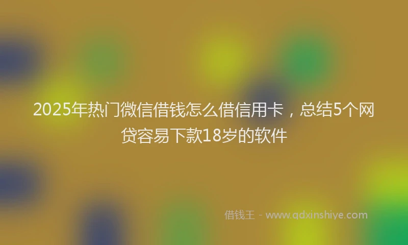 2025年热门微信借钱怎么借信用卡，总结5个网贷容易下款18岁的软件