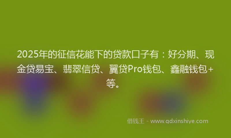 2025年的征信花能下的贷款口子有：好分期、现金贷易宝、翡翠信贷、翼贷Pro钱包、鑫融钱包+等。