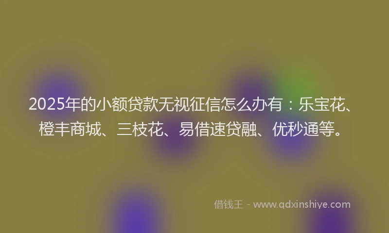 2025年的小额贷款无视征信怎么办有：乐宝花、橙丰商城、三枝花、易借速贷融、优秒通等。