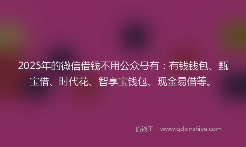 2025年的微信借钱不用公众号有：有钱钱包、甄宝借、时代花、智享宝钱包、现金易借等。