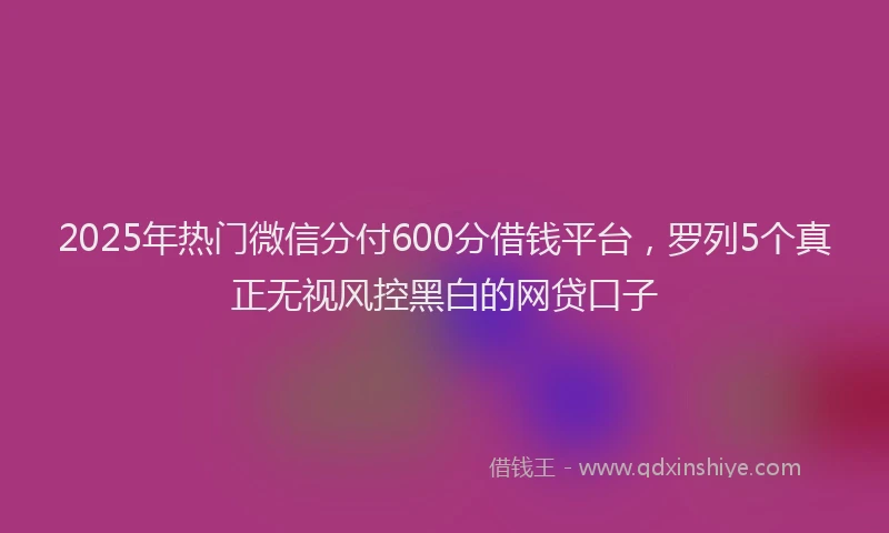 2025年热门微信分付600分借钱平台，罗列5个真正无视风控黑白的网贷口子
