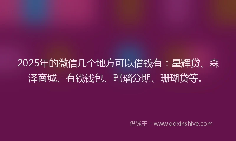 2025年的微信几个地方可以借钱有：星辉贷、森泽商城、有钱钱包、玛瑙分期、珊瑚贷等。