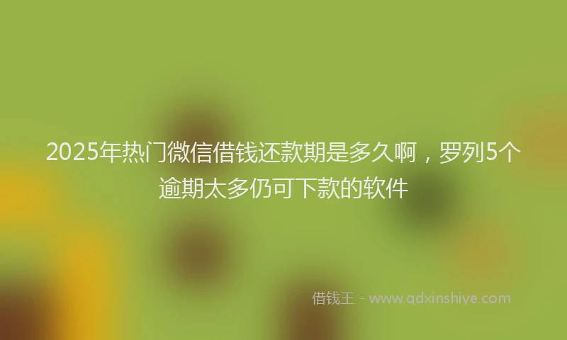 2025年热门微信借钱还款期是多久啊，罗列5个逾期太多仍可下款的软件