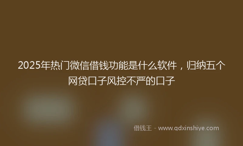 2025年热门微信借钱功能是什么软件，归纳五个网贷口子风控不严的口子