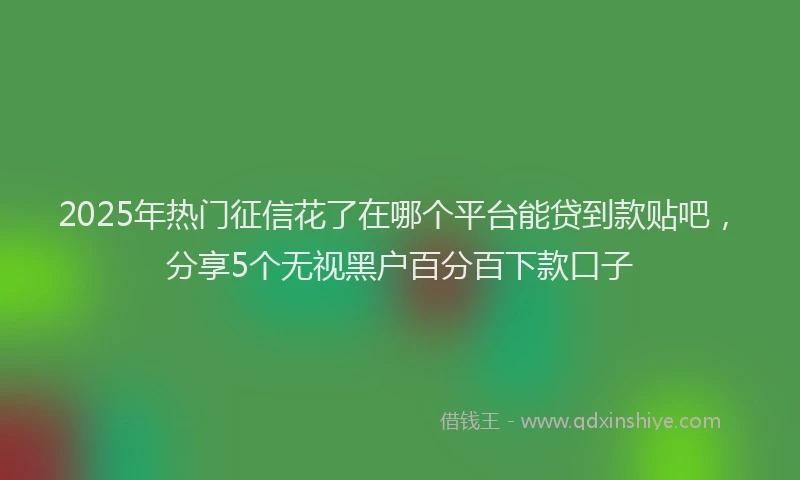 2025年热门征信花了在哪个平台能贷到款贴吧，分享5个无视黑户百分百下款口子