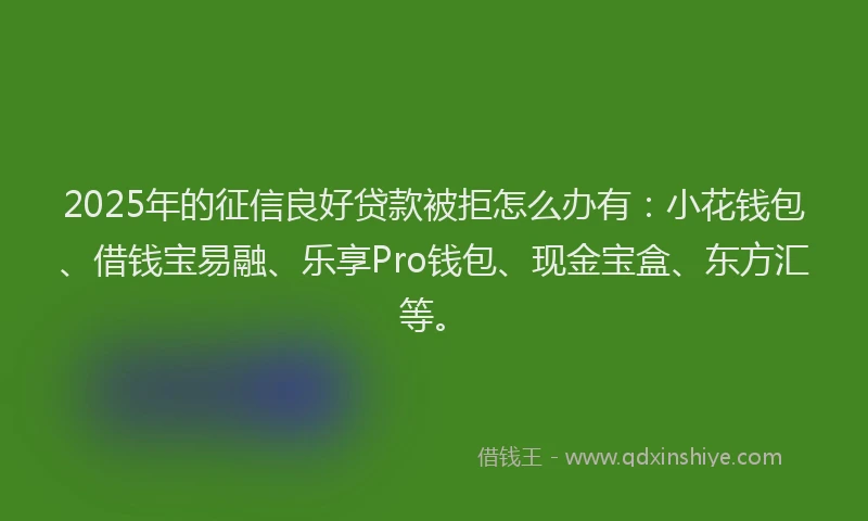 2025年的征信良好贷款被拒怎么办有：小花钱包、借钱宝易融、乐享Pro钱包、现金宝盒、东方汇等。