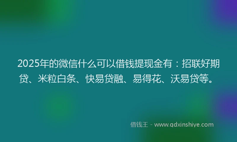 2025年的微信什么可以借钱提现金有：招联好期贷、米粒白条、快易贷融、易得花、沃易贷等。