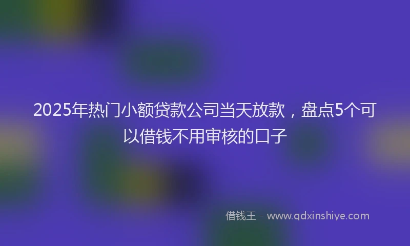 2025年热门小额贷款公司当天放款，盘点5个可以借钱不用审核的口子