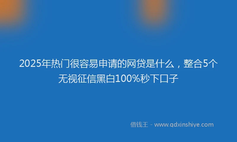 2025年热门很容易申请的网贷是什么，整合5个无视征信黑白100%秒下口子