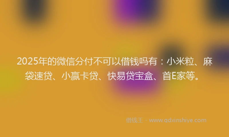 2025年的微信分付不可以借钱吗有：小米粒、麻袋速贷、小赢卡贷、快易贷宝盒、首E家等。