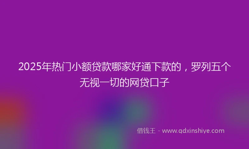 2025年热门小额贷款哪家好通下款的，罗列五个无视一切的网贷口子