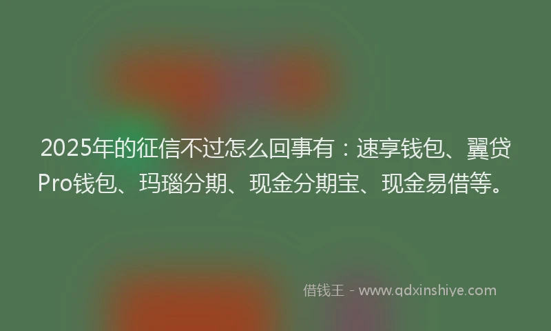2025年的征信不过怎么回事有：速享钱包、翼贷Pro钱包、玛瑙分期、现金分期宝、现金易借等。