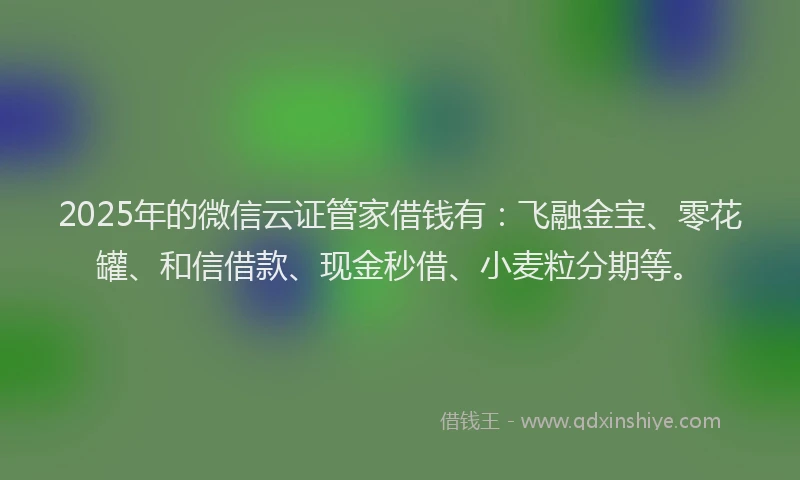 2025年的微信云证管家借钱有：飞融金宝、零花罐、和信借款、现金秒借、小麦粒分期等。