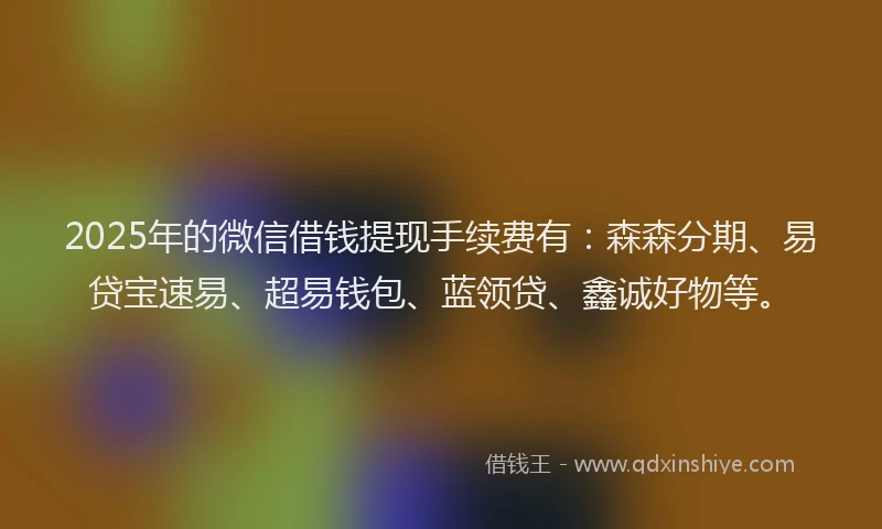 2025年的微信借钱提现手续费有：森森分期、易贷宝速易、超易钱包、蓝领贷、鑫诚好物等。