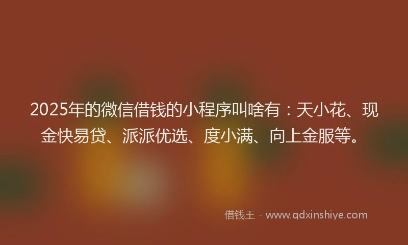 2025年的微信借钱的小程序叫啥有：天小花、现金快易贷、派派优选、度小满、向上金服等。