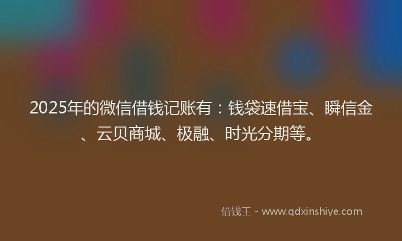 2025年的微信借钱记账有：钱袋速借宝、瞬信金、云贝商城、极融、时光分期等。