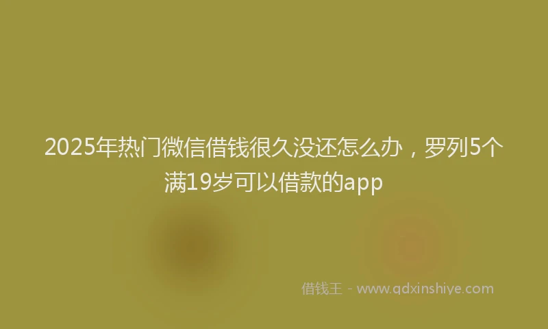 2025年热门微信借钱很久没还怎么办，罗列5个满19岁可以借款的app