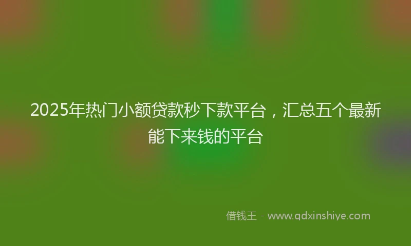 2025年热门小额贷款秒下款平台，汇总五个最新能下来钱的平台
